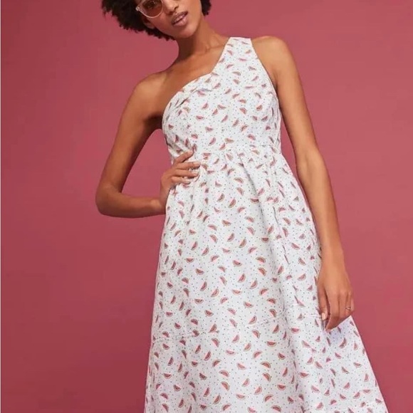 NWT HD in Paris Anthropologie Parkbound Watermelon Dress Sz 10 - Picture 2 of 7